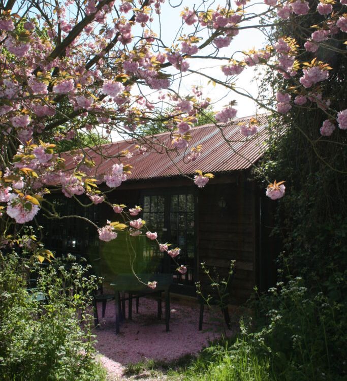 A sunlit garden featuring a cherry blossom tree with pink flowers, a wooden table and chairs below, and a rustic wooden cabin with a red corrugated roof in the background.