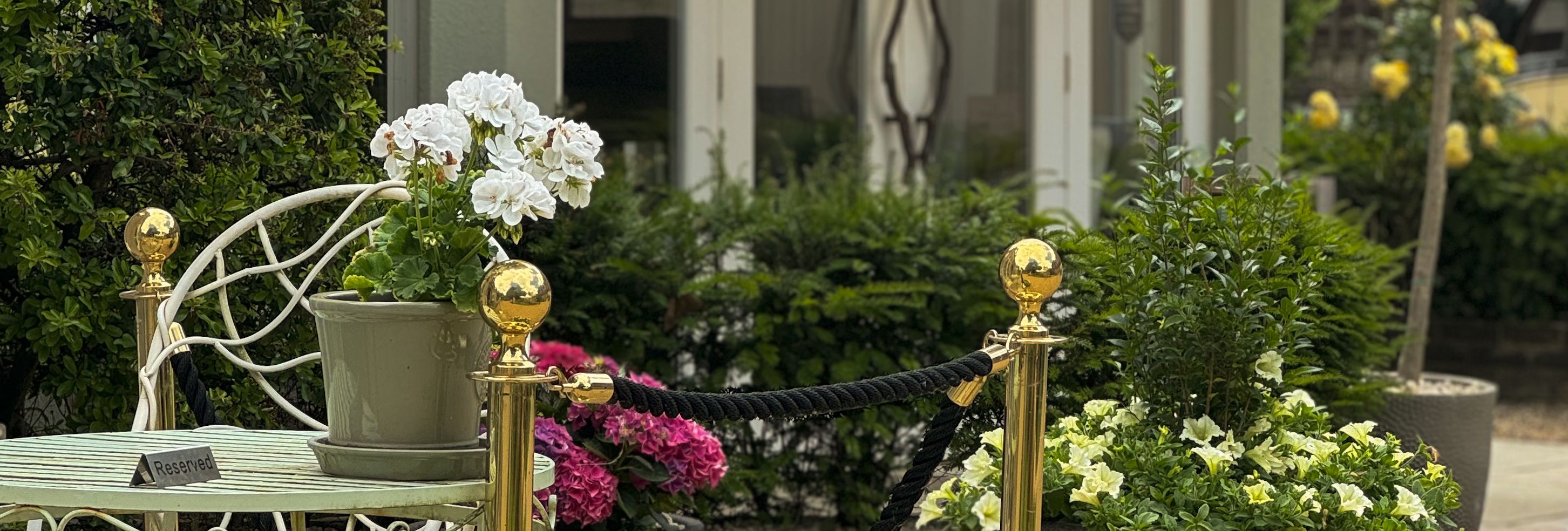 MrsJessDainesimage00011