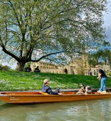 A group enjoys punting on a river in Cambridge beneath a large tree, with historic university buildings and spring blossoms in the background.