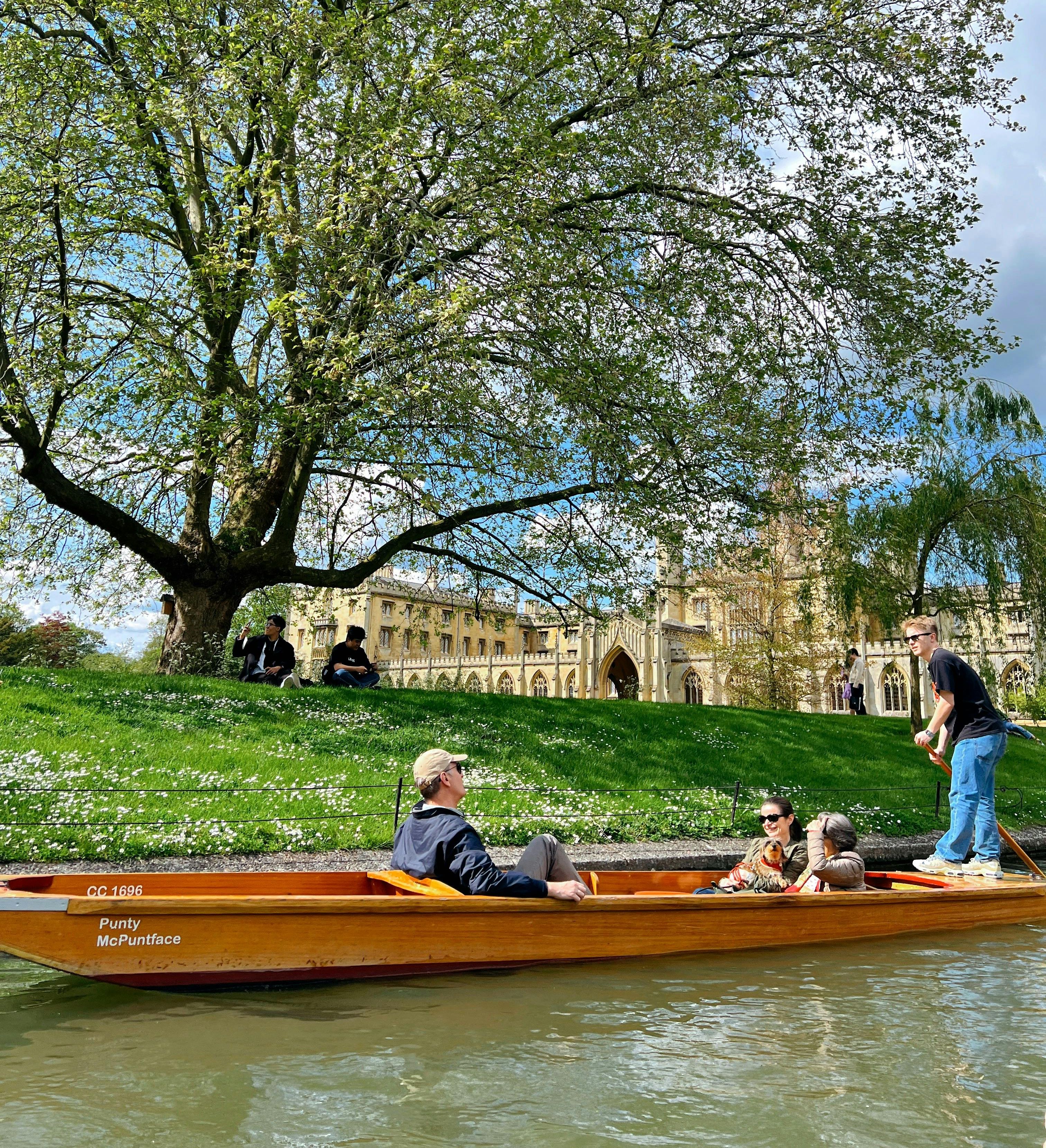 A group enjoys punting on a river in Cambridge beneath a large tree, with historic university buildings and spring blossoms in the background.