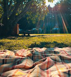 Sunset picnic
