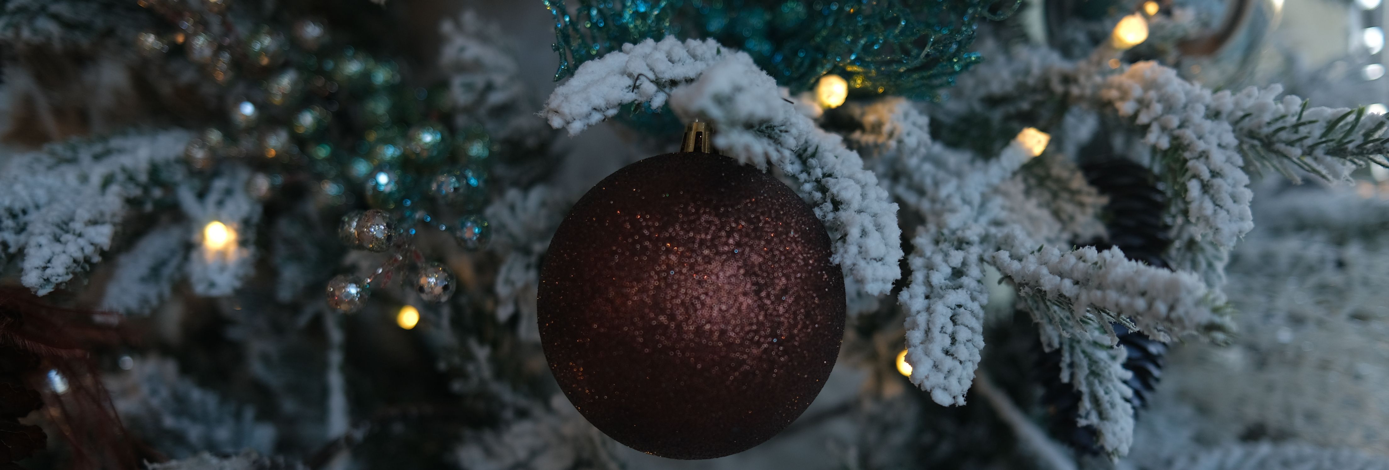 Close-up of a Christmas tree with snow-covered branches, a dark purple ornament, and festive lights