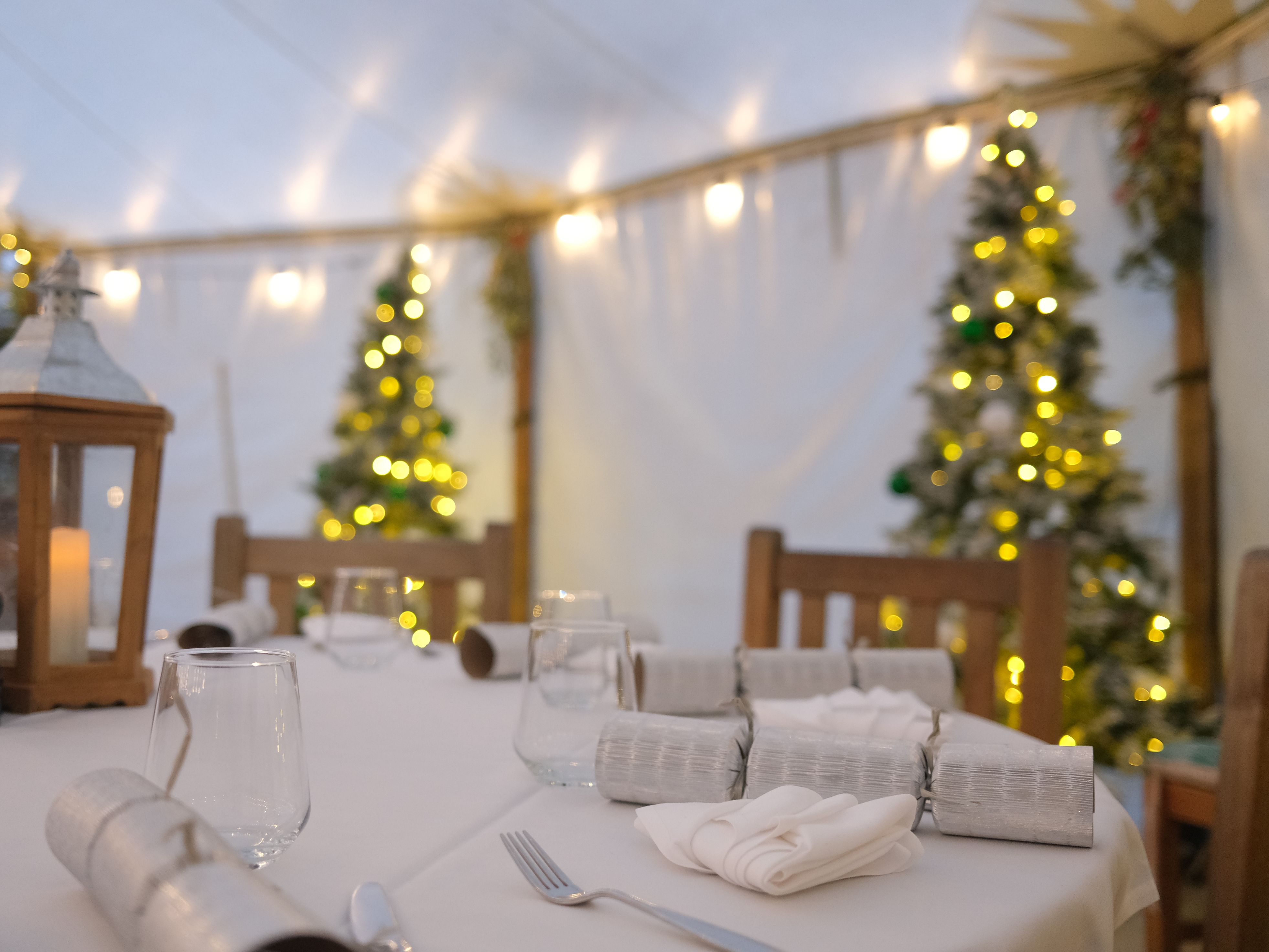 Festive dining table set with crackers, lantern, and glassware, with decorated Christmas trees in the background