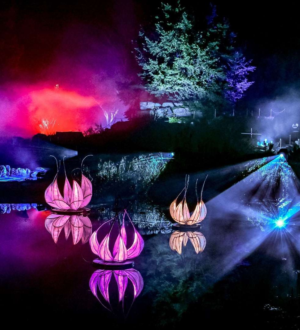 Colorful illuminated lotus flower sculptures floating on water at night, with dramatic lighting and fog effects in the background.