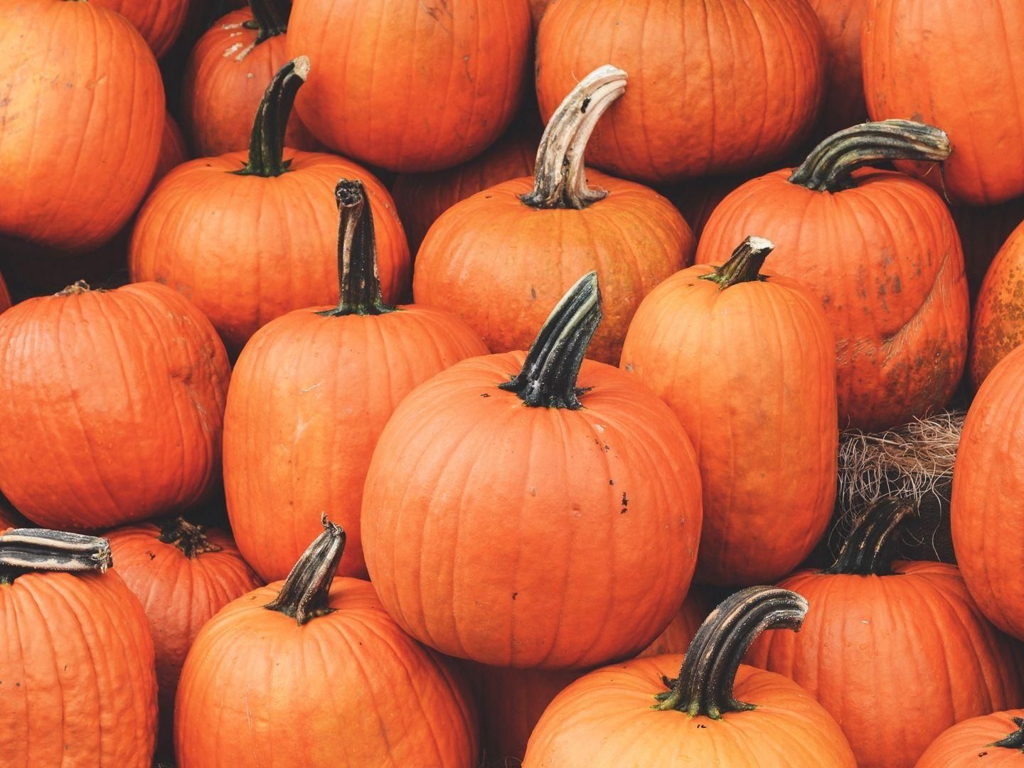 A group of orange pumpkins with stems piled together.