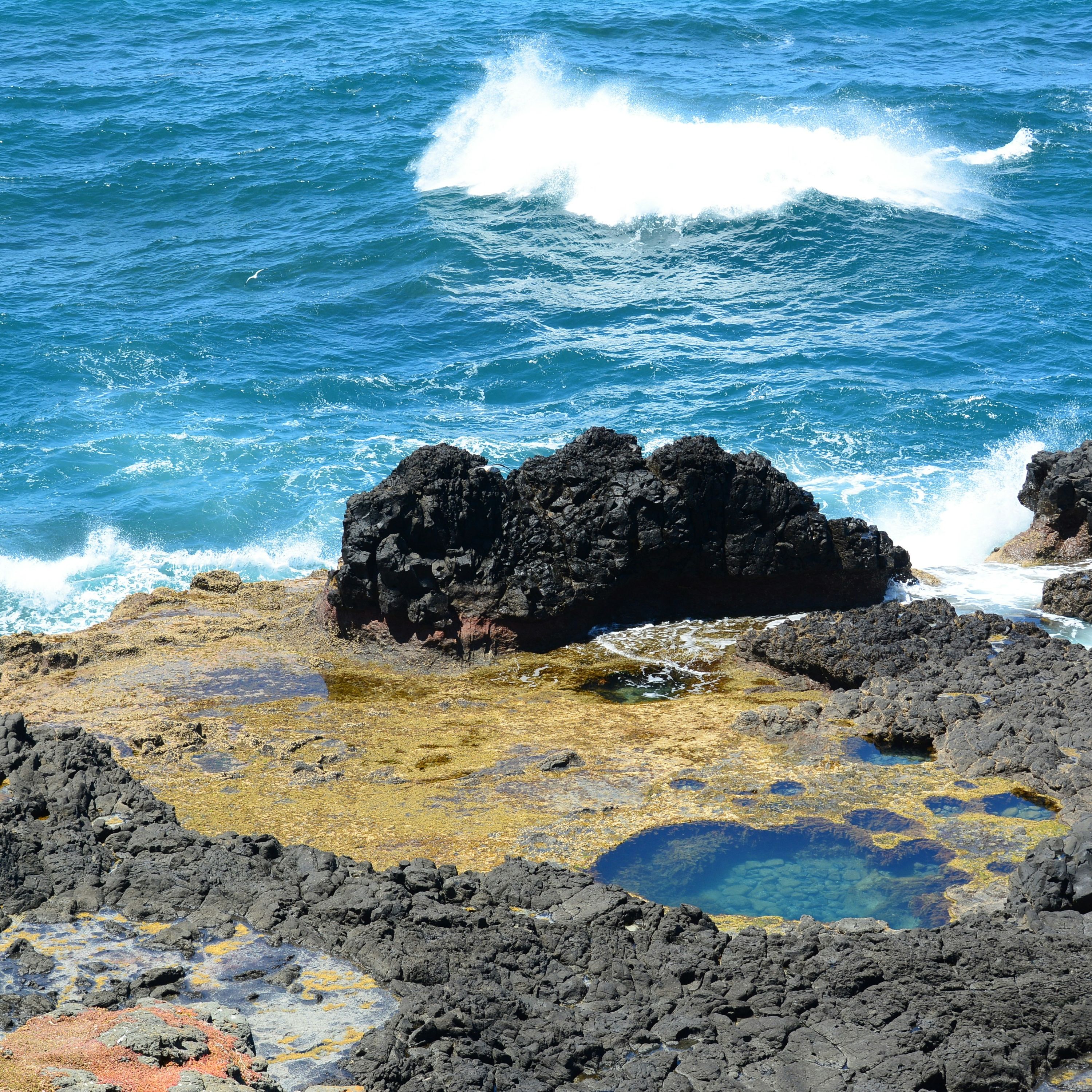 Rocky shoreline with volcanic rocks, tide pools, and waves crashing against the coast.
