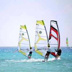People windsurfing and sailing on a bright blue ocean under a clear sky.
