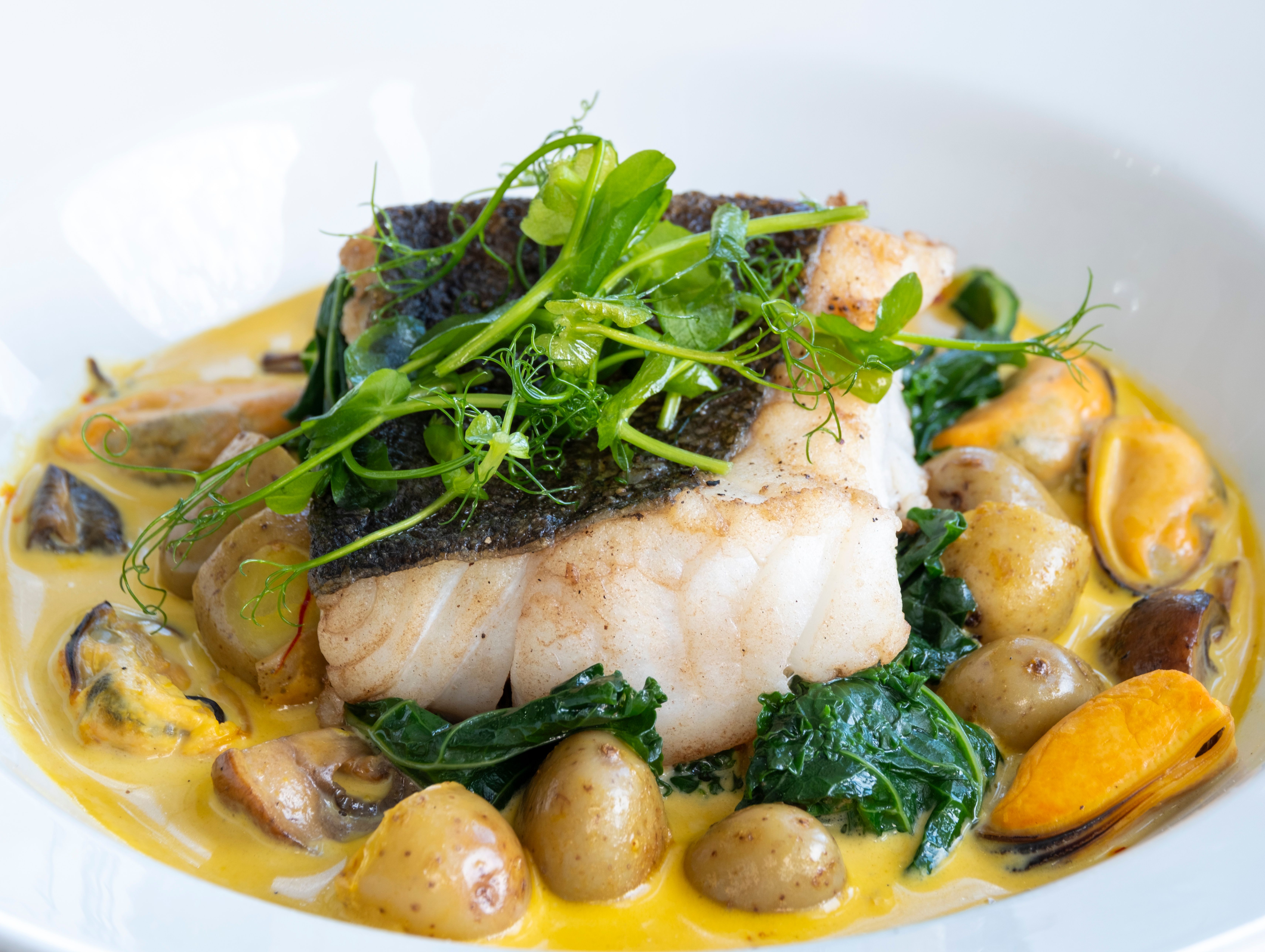 Gourmet dish featuring a piece of seared fish with crispy skin, served on a bed of greens, baby potatoes, mussels, and mushrooms in a creamy yellow sauce, garnished with fresh microgreens.