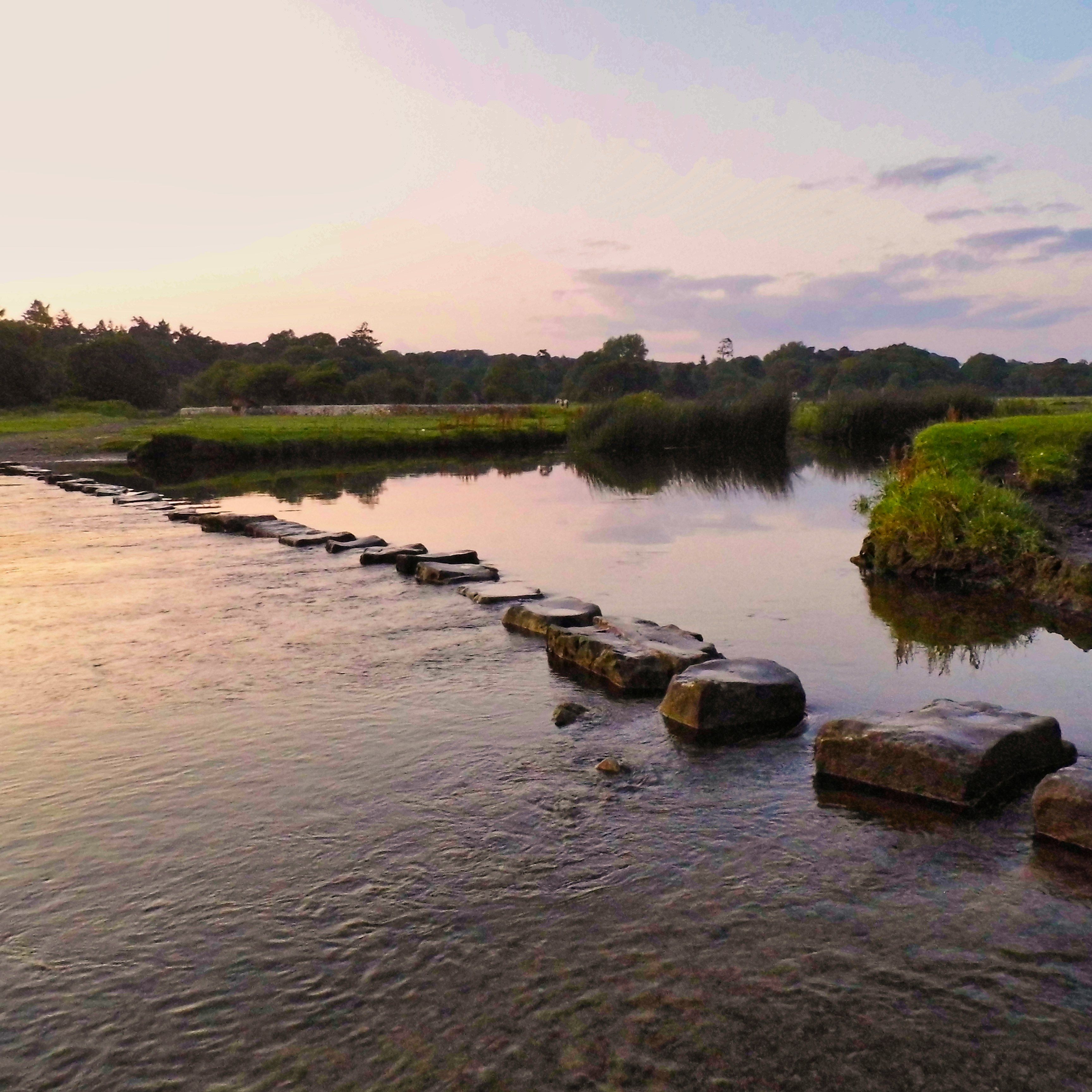 Stepping stones across a calm river at sunset surrounded by greenery and trees.