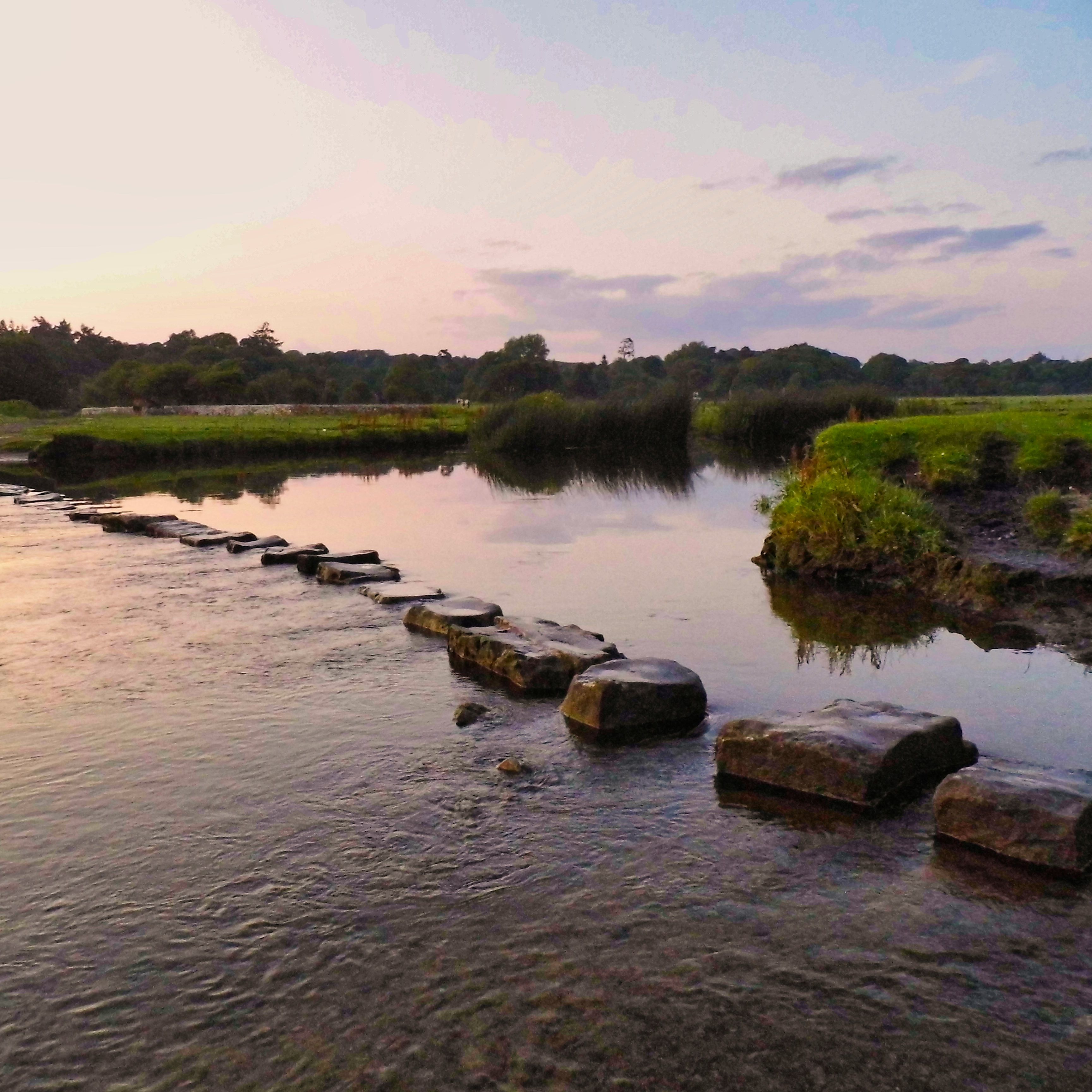Stepping stones across a calm river at sunset surrounded by greenery and trees.