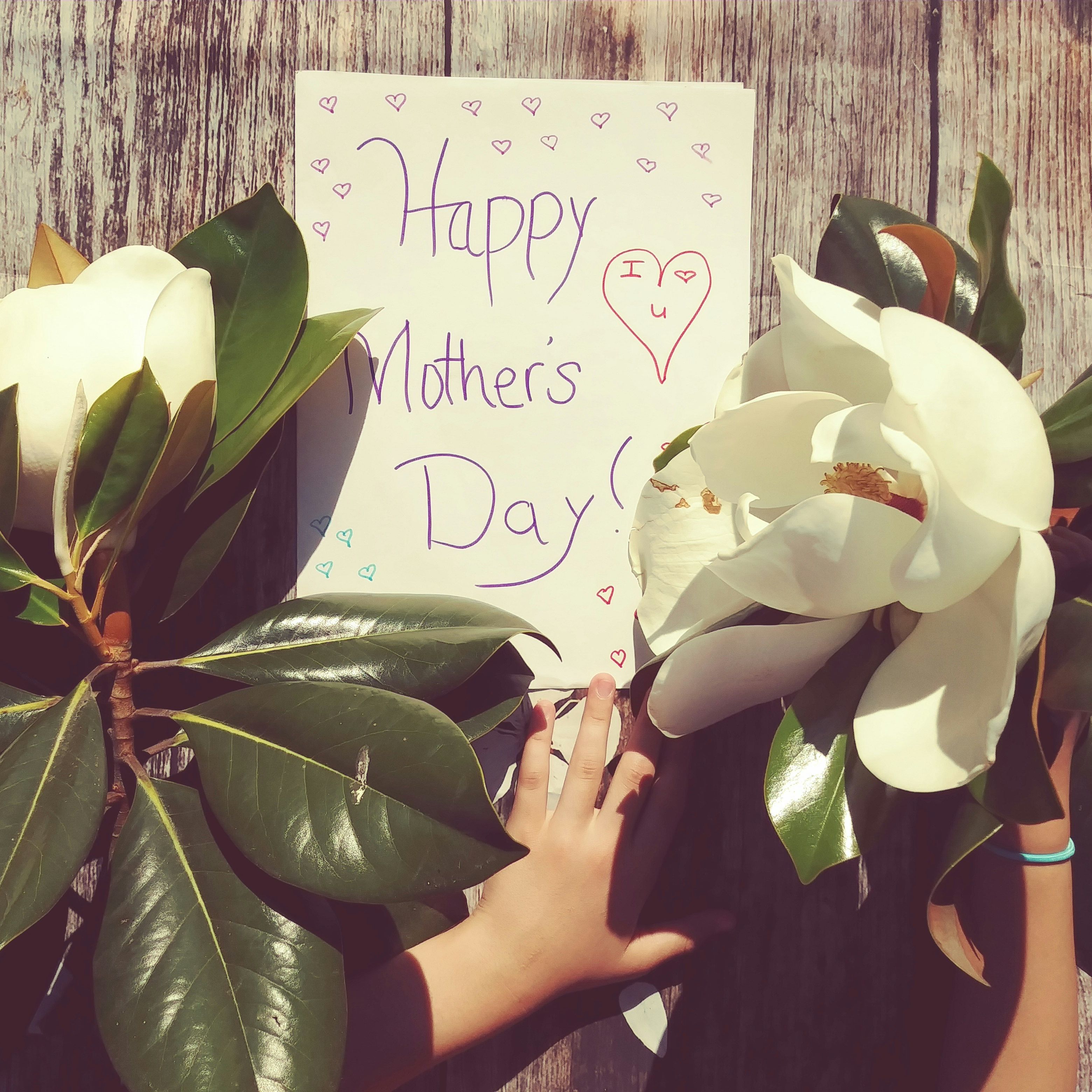A child's hands hold large white magnolia flowers on either side of a handwritten 'Happy Mother's Day' card on a wooden background.