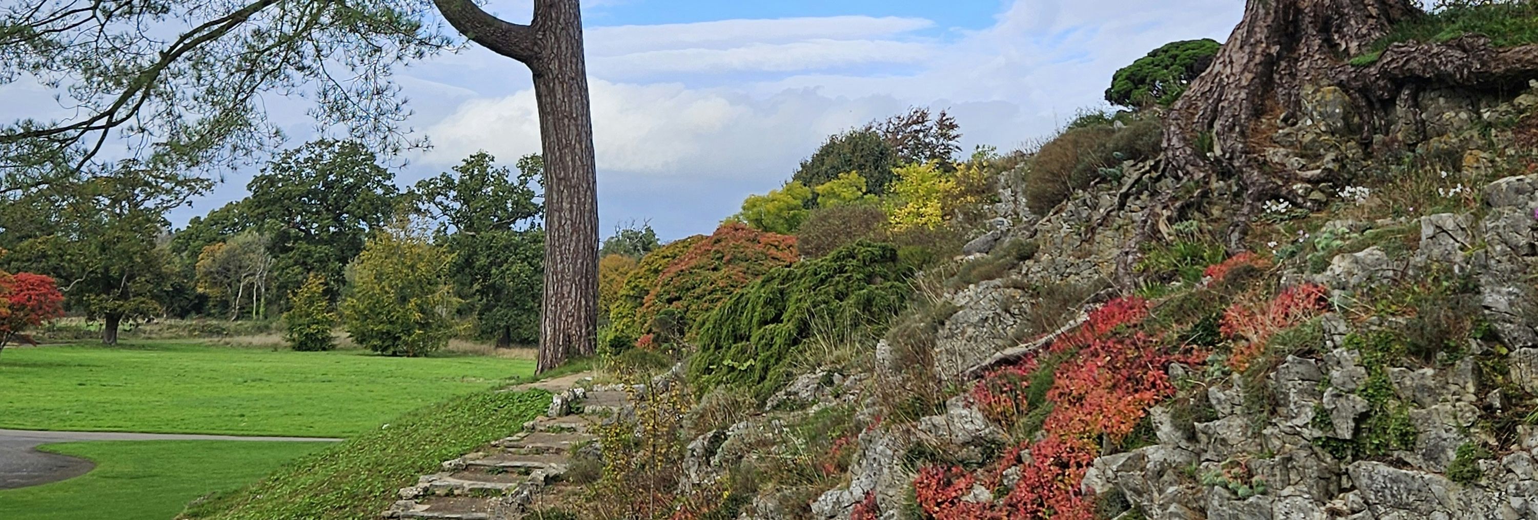 A scenic outdoor view featuring large trees, a stone pathway, and colorful plants growing on a rocky slope under a vibrant blue sky.