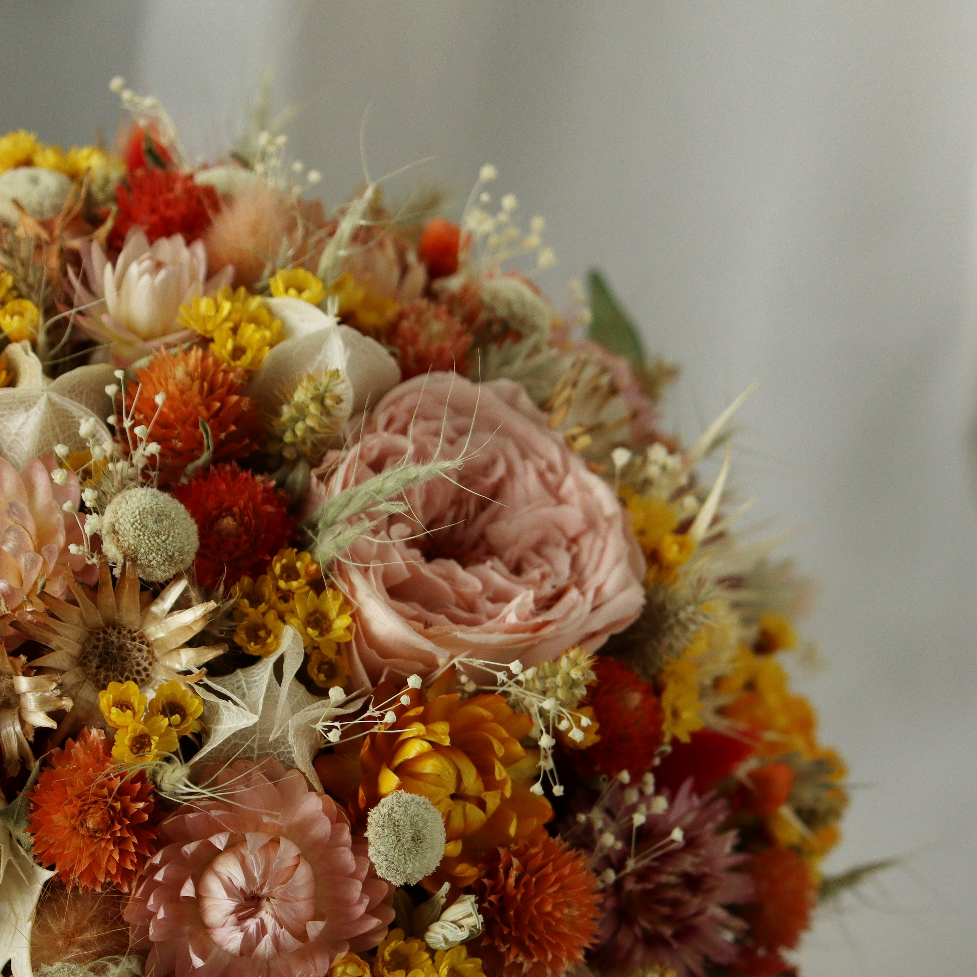 frida-flowers-xtradry-j6kBi-2rjmY-unsplash