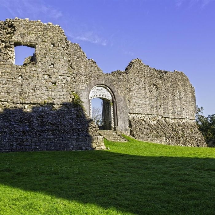 Stone ruins of Newcastle Castle with an arched gateway and grassy foreground under a clear blue sky