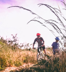 Cyclists on a path