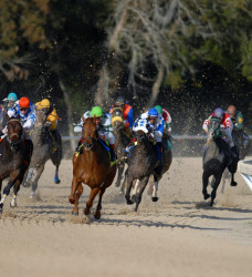 Horses and jockeys running a horse race
