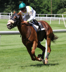 Horse running with a jockey on its back