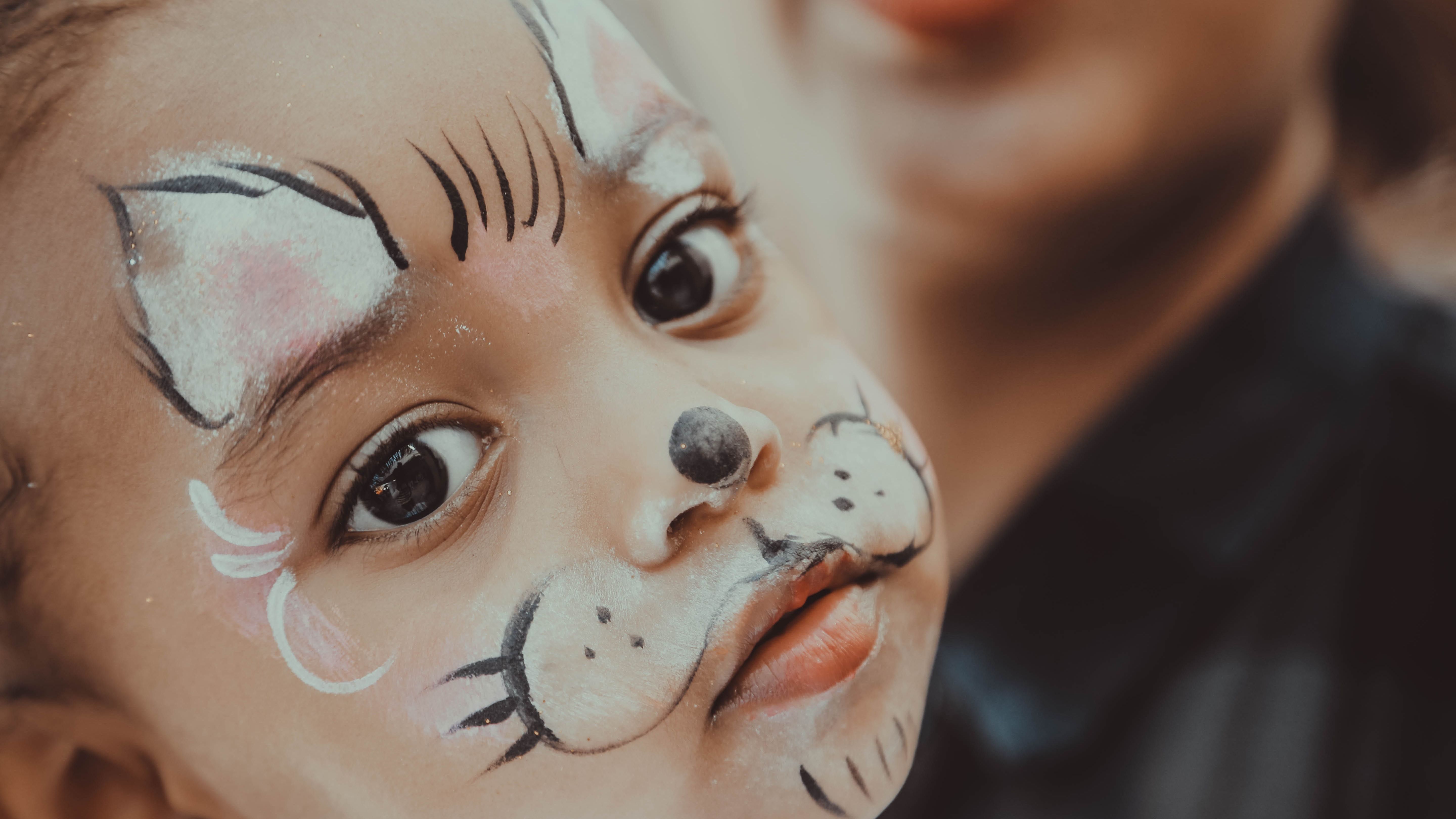 Child with a face painted to be a cat