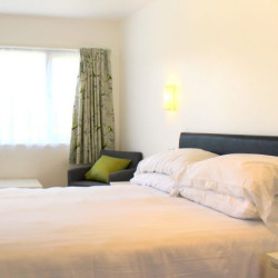 solo travel Devon