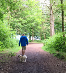 A man walking in the forest with a small white dog