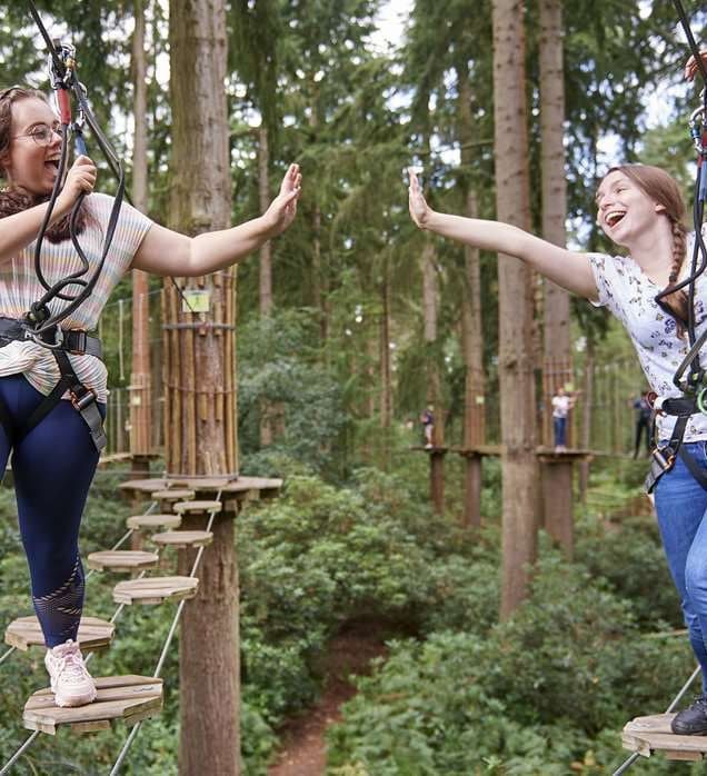 Go Ape Haldon Forest
