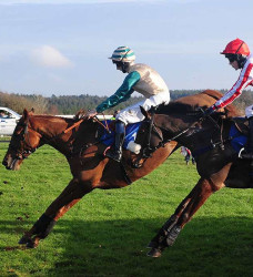 Exeter Racecourse