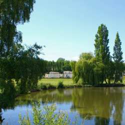 Lodges for Sale