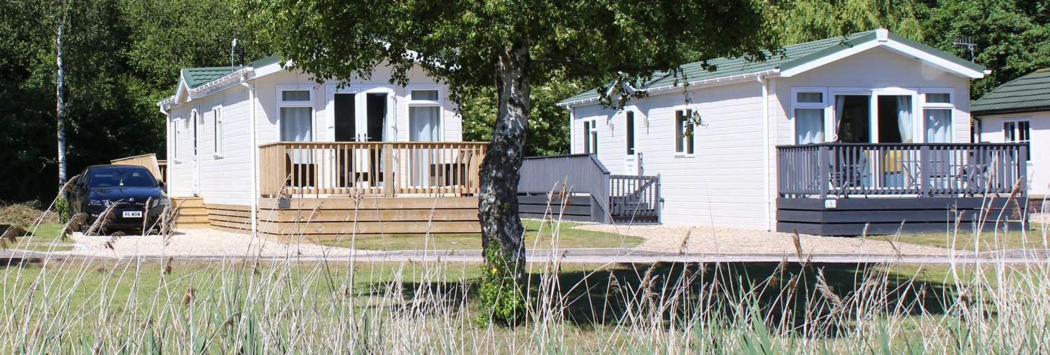 Homes overlooking the lake