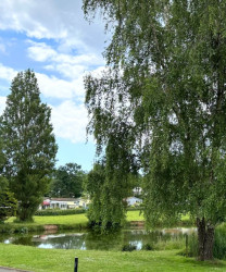Riverside 8