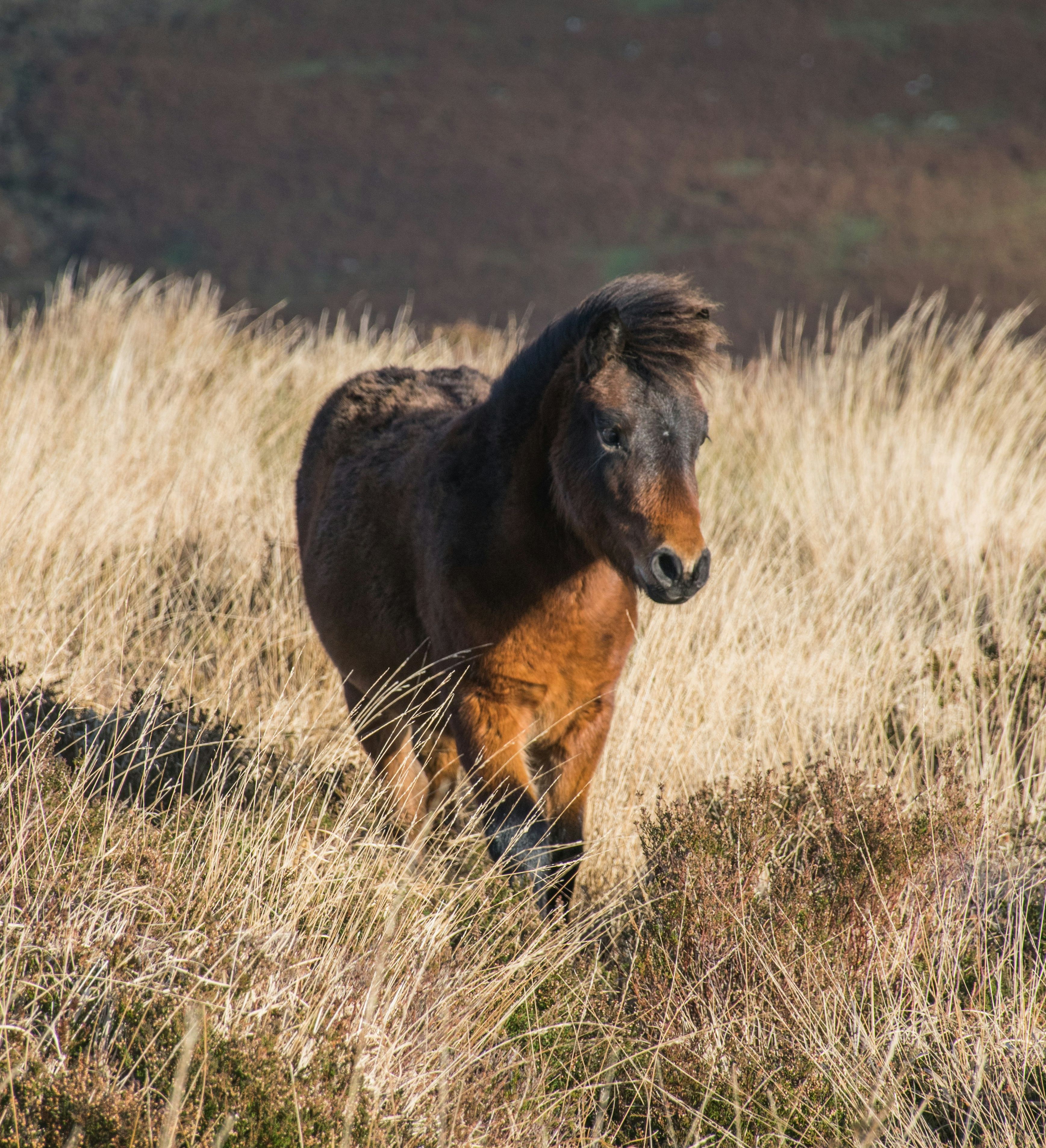 veronica-white-G9ca3y6MobU-unsplash