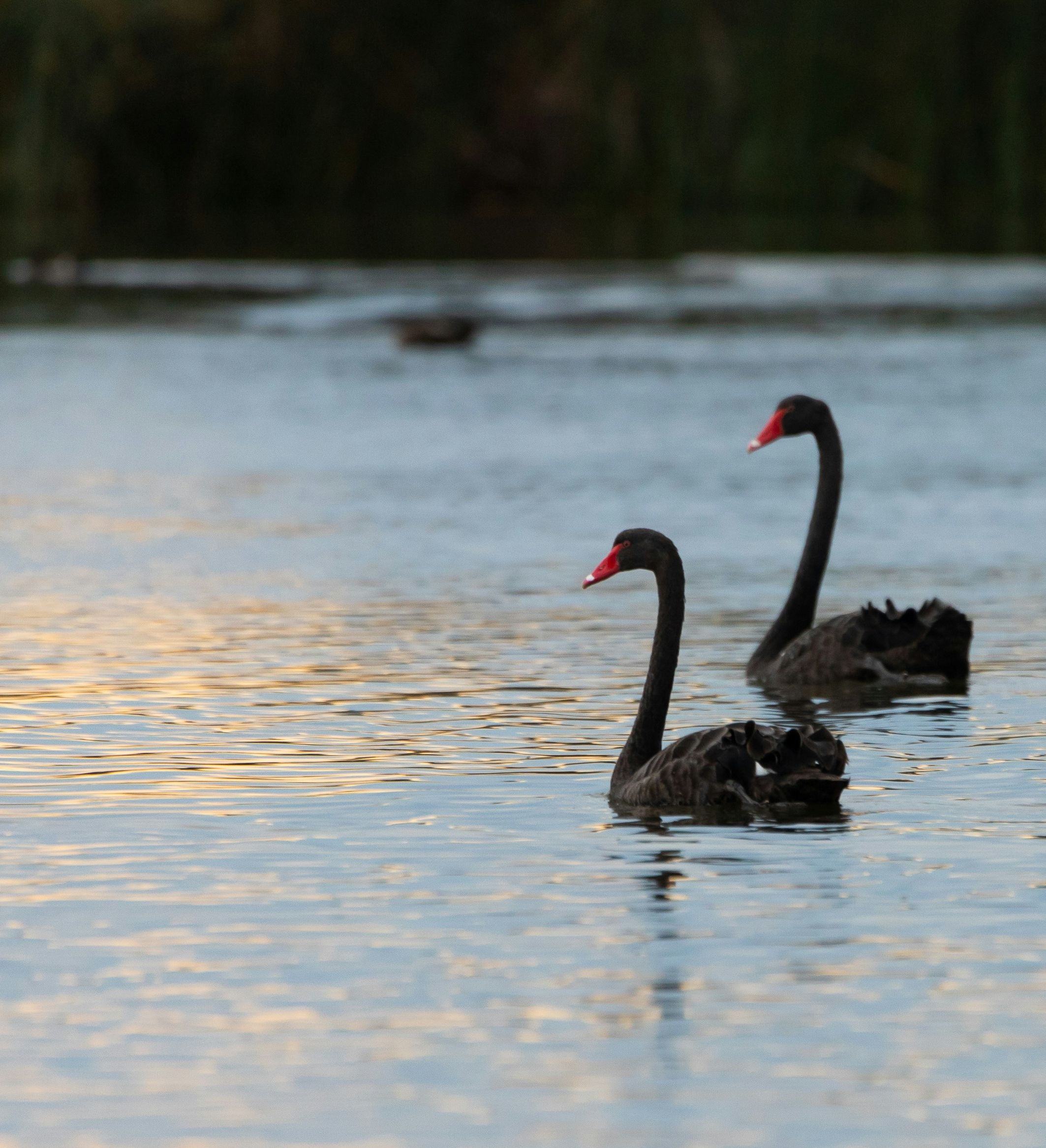 caz-hayek-11_m6TJD6sk-unsplash