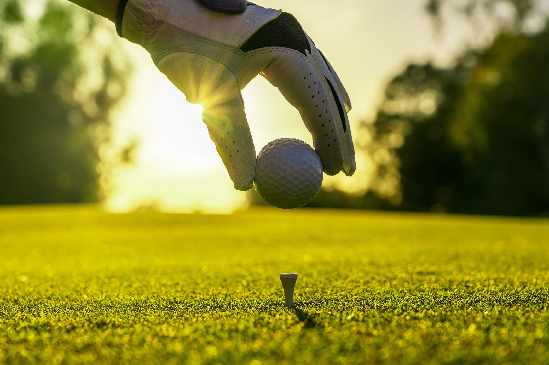 A golfer's gloved hand places a golf ball onto a tee on a lush green course, illuminated by the warm glow of a setting sun in the background.