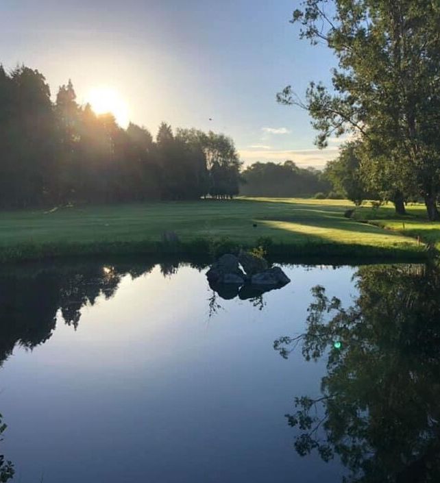 A serene pond reflecting the surrounding trees and a golden sunrise, set amidst a lush green landscape with soft morning light creating a tranquil atmosphere.