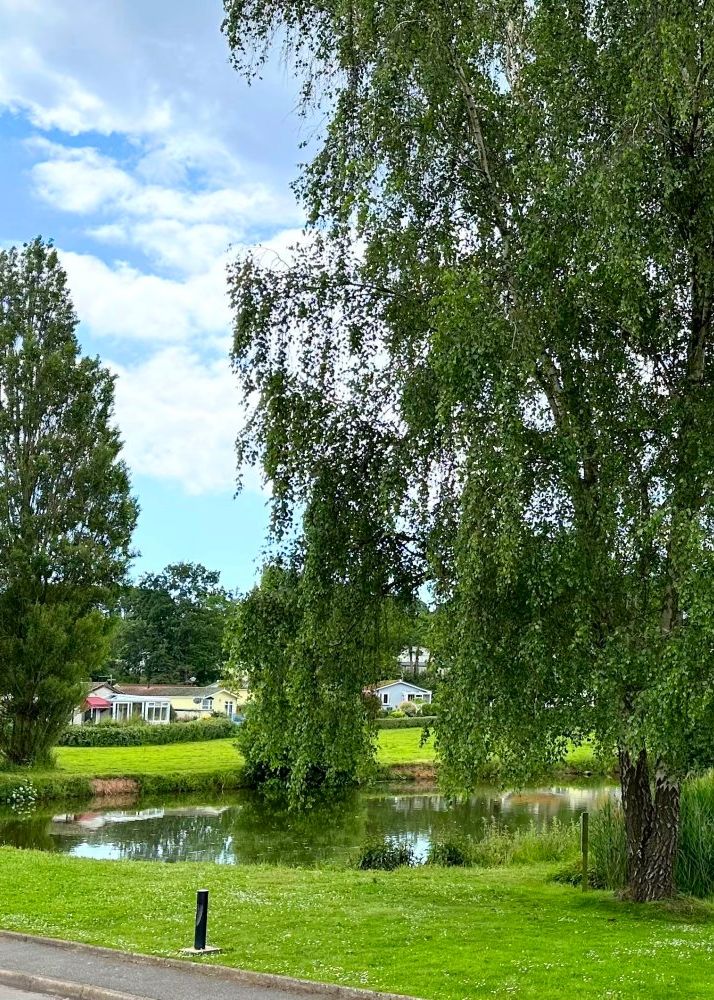 Fishing lake view