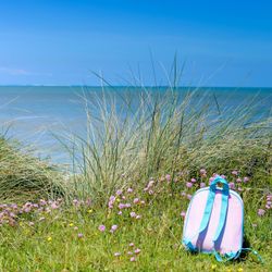 A pastel pink and blue backpack resting on grass among wildflowers near tall beach grass, with a calm sea and clear blue sky in the background.