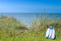 A pastel pink and blue backpack resting on grass among wildflowers near tall beach grass, with a calm sea and clear blue sky in the background.