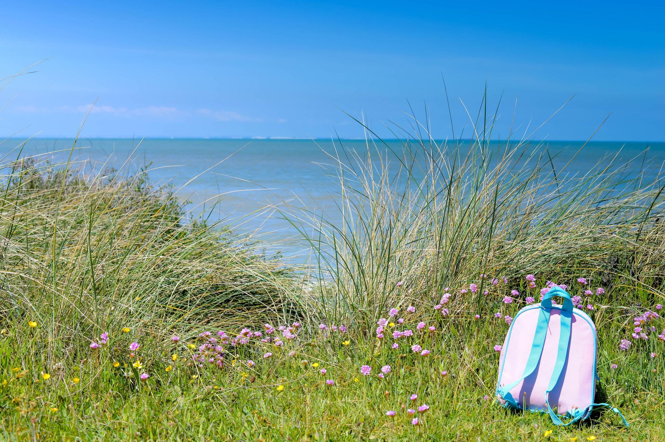 A pastel pink and blue backpack resting on grass among wildflowers near tall beach grass, with a calm sea and clear blue sky in the background.