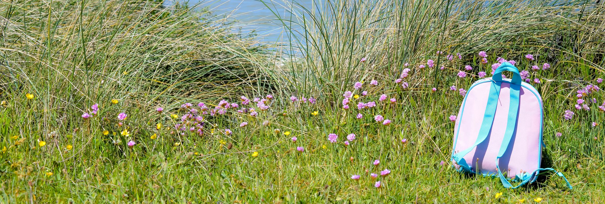 A pastel pink and blue backpack resting on grass among wildflowers near tall beach grass, with a calm sea and clear blue sky in the background.