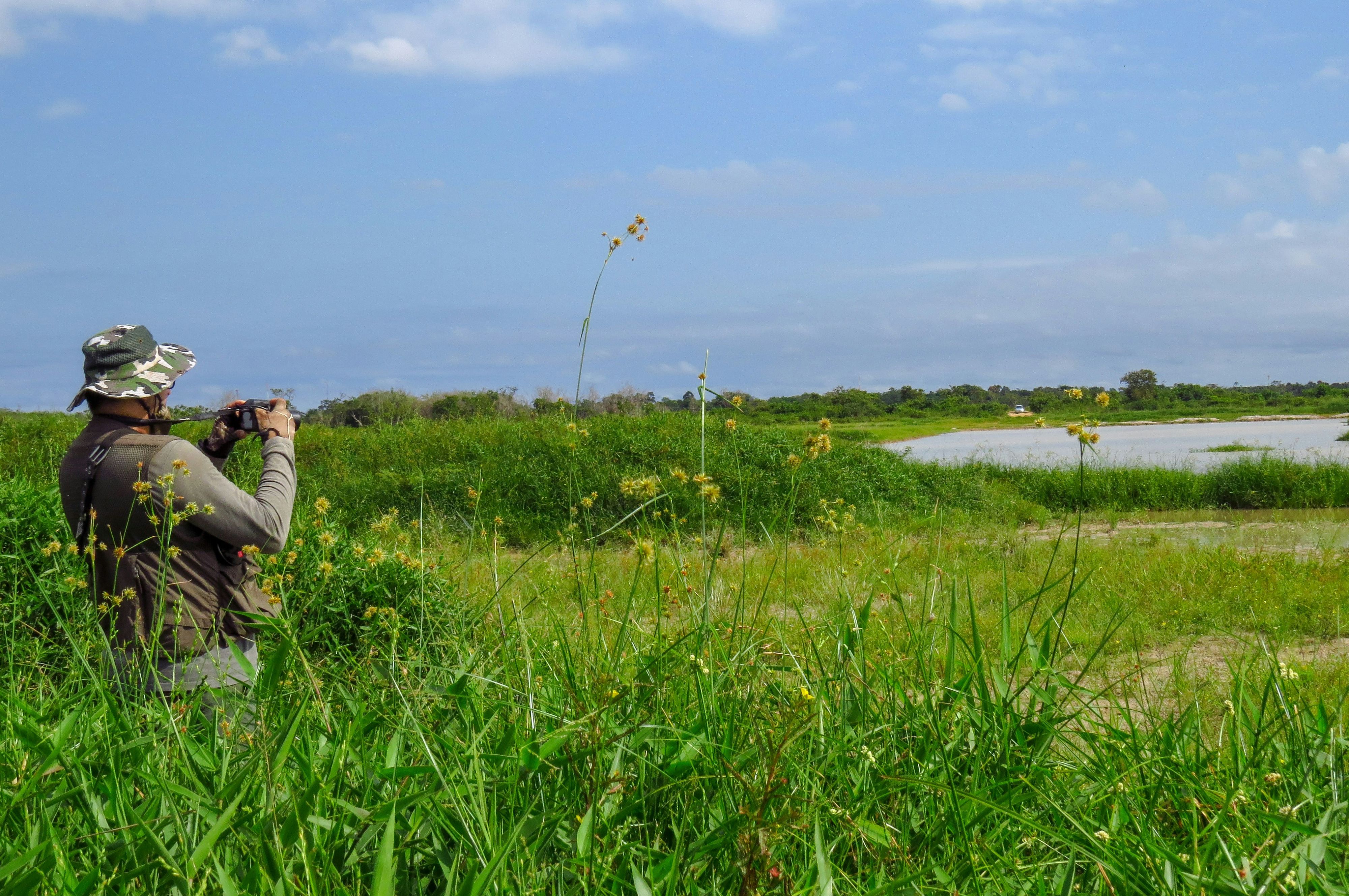 Birdwatching - Hazelwood