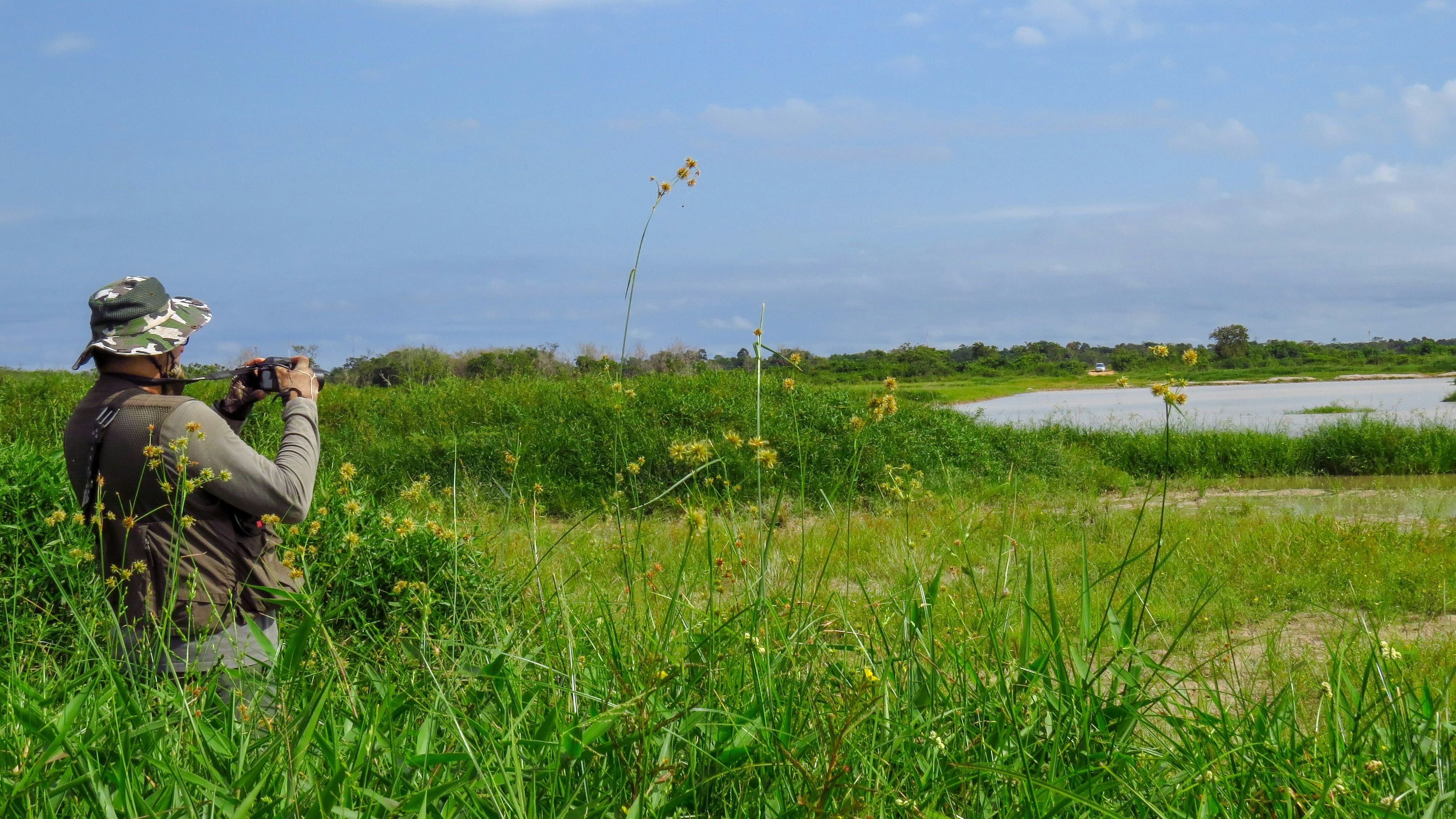 Birdwatching - Hazelwood