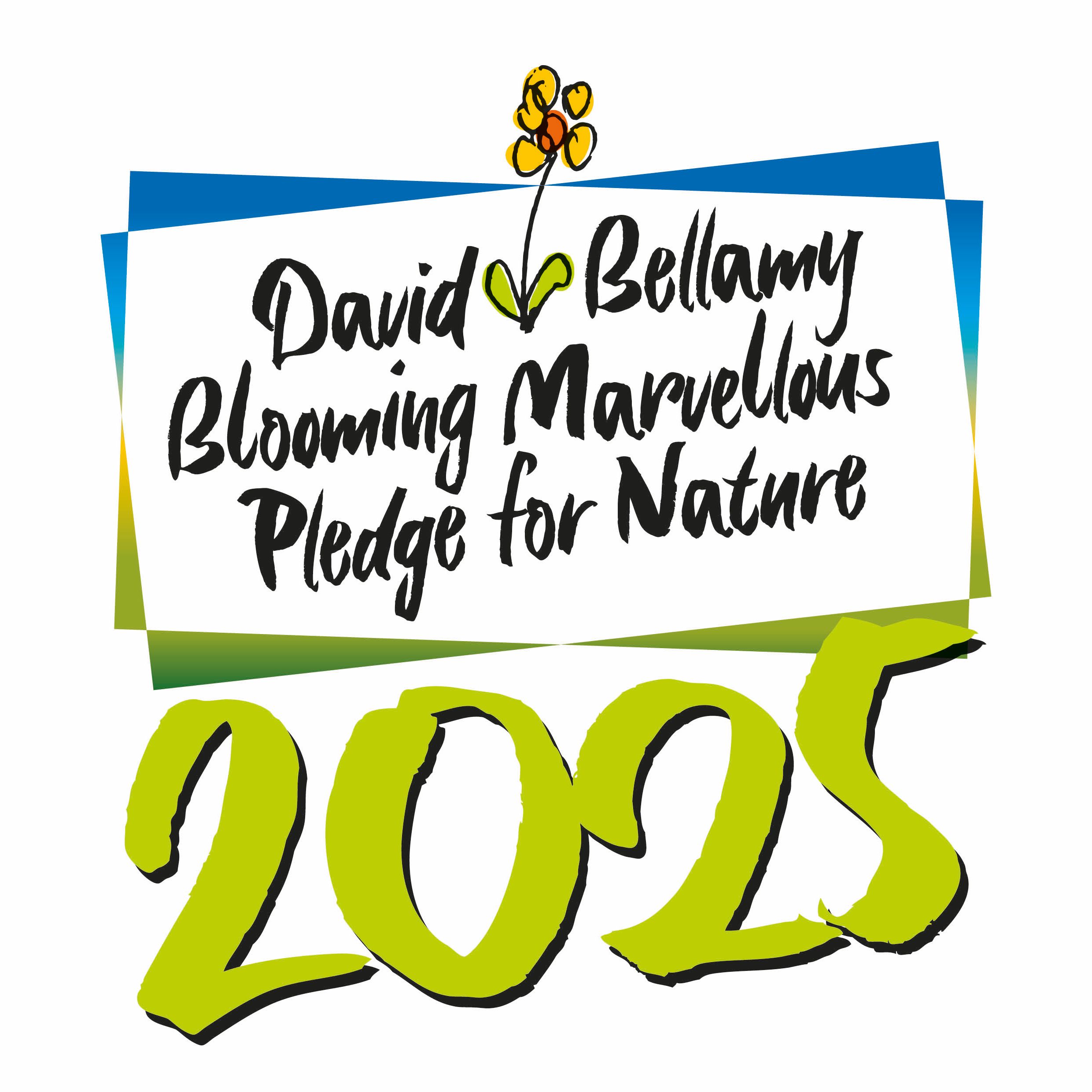 David Bellamy Award 2025