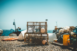 Fishing in Devon