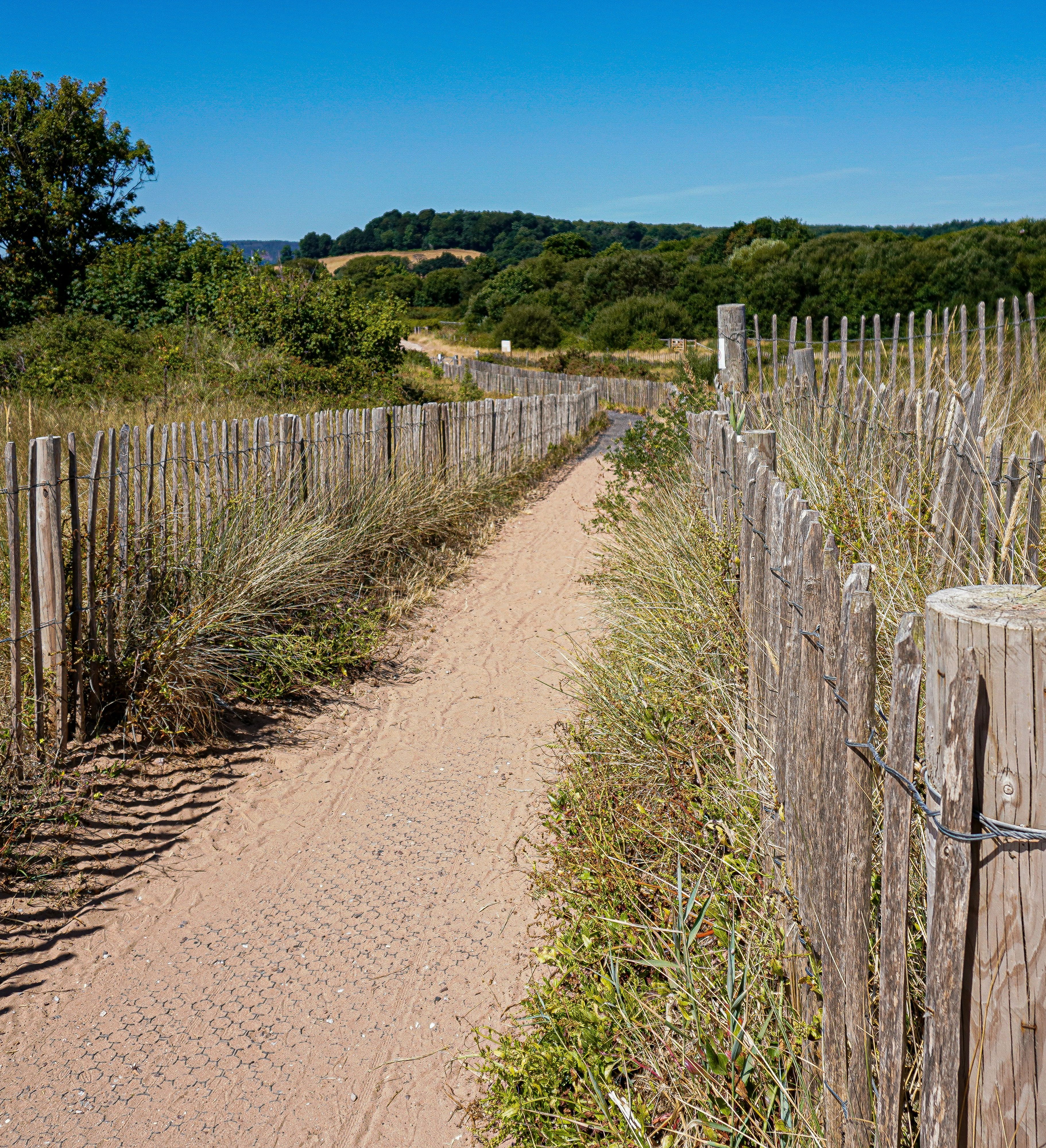 A sandy path bordered by wooden fences winding through grassy dunes with a 'No Fires or BBQs' sign on a post.