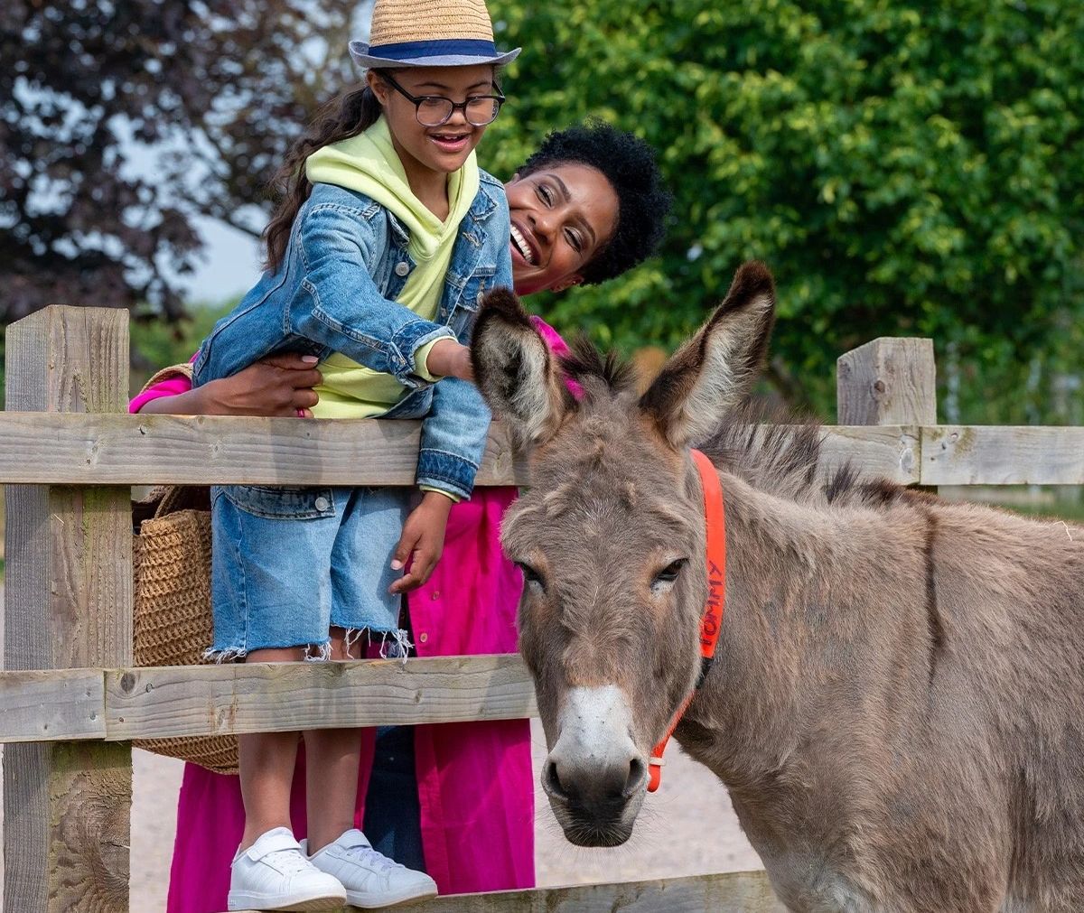Woman helps a child lean over a wooden fence to pet a donkey wearing an orange halter