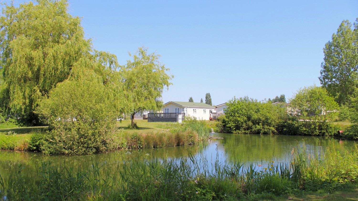Holiday lodge by a calm lake at Hazelwood Holiday Park, surrounded by green trees and reeds