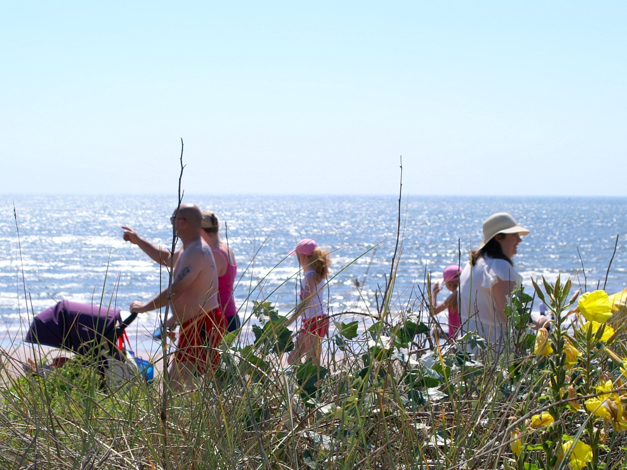 People walking along sand dunes beside the sea at Dawlish Warren