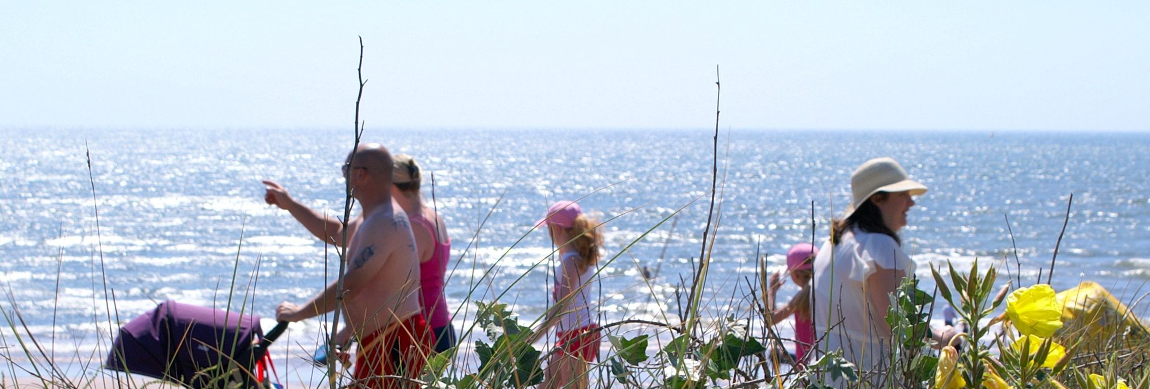 People walking along sand dunes beside the sea at Dawlish Warren