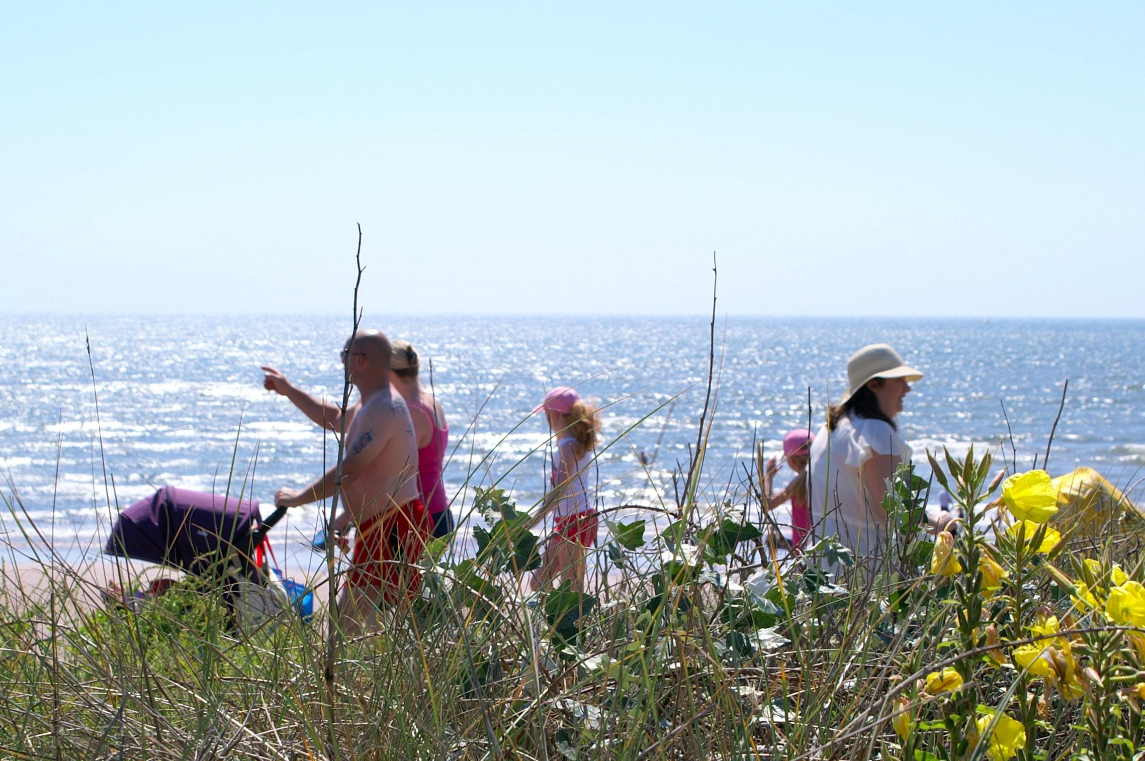 People walking along sand dunes beside the sea at Dawlish Warren