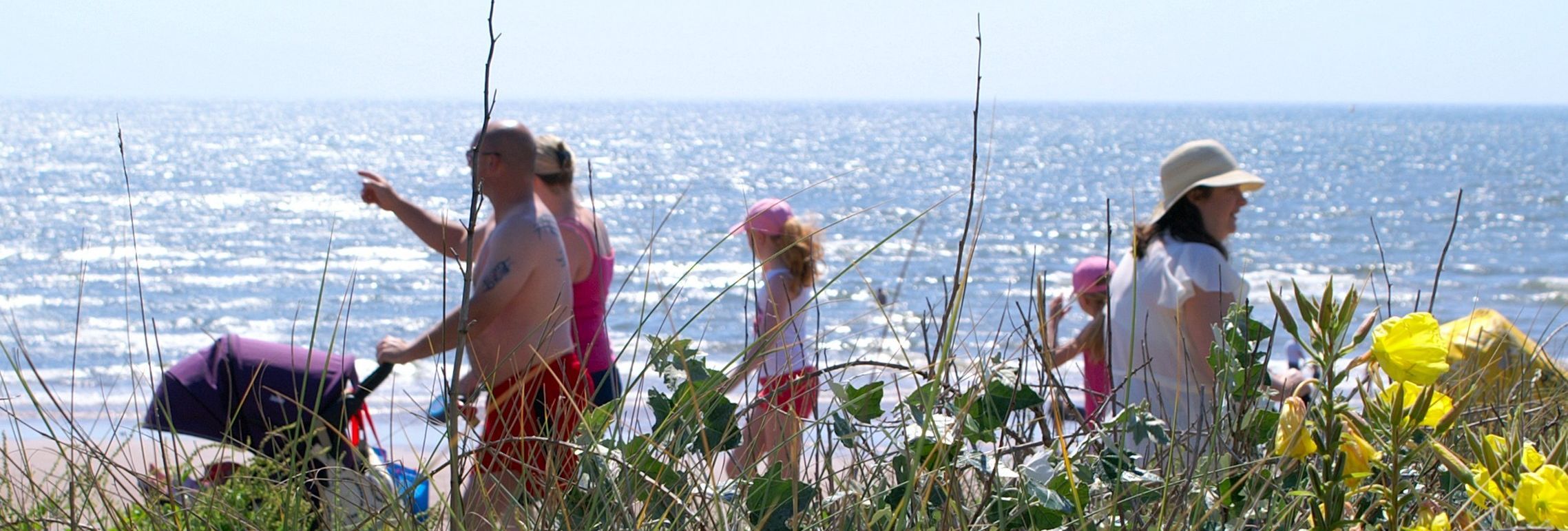 People walking along sand dunes beside the sea at Dawlish Warren