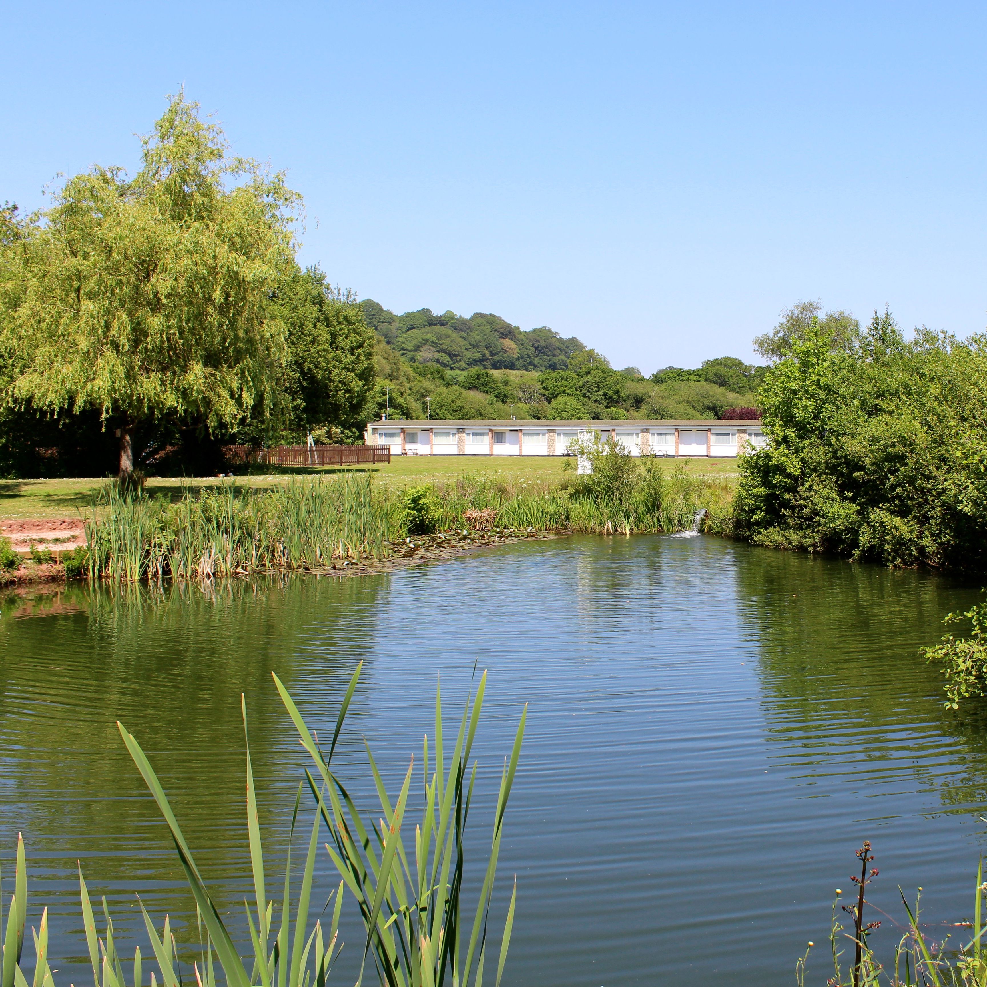 Ashwood Chalets viewed across Kingfisher Lake at Hazelwood Holiday Park